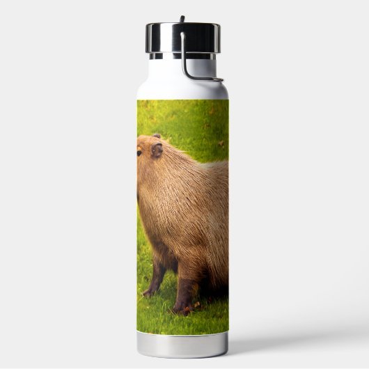 Capybara Waterfles (Links)