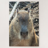 CAPYBARA WILDE DIEREN LEGPUZZEL (Verticaal)