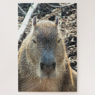 CAPYBARA WILDE DIEREN LEGPUZZEL