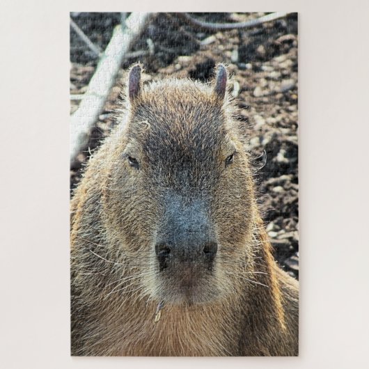 CAPYBARA WILDE DIEREN LEGPUZZEL (Verticaal)