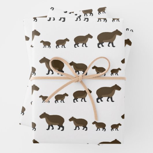Capybara Wrapping Paper Sheets (In situ)