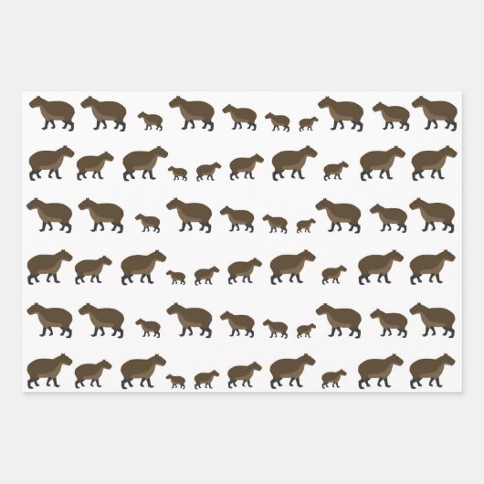 Capybara Wrapping Paper Sheets (Voorkant)