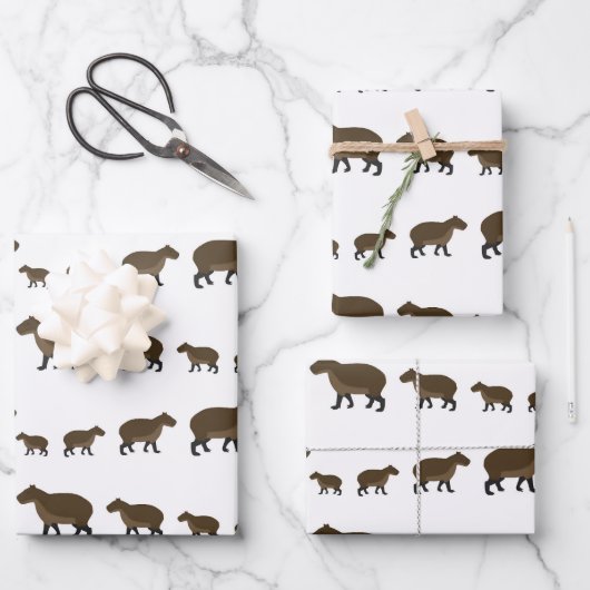 Capybara Wrapping Paper Sheets (Voorkant)