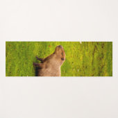 Capybara Yogamat (Voorkant (horizontaal))
