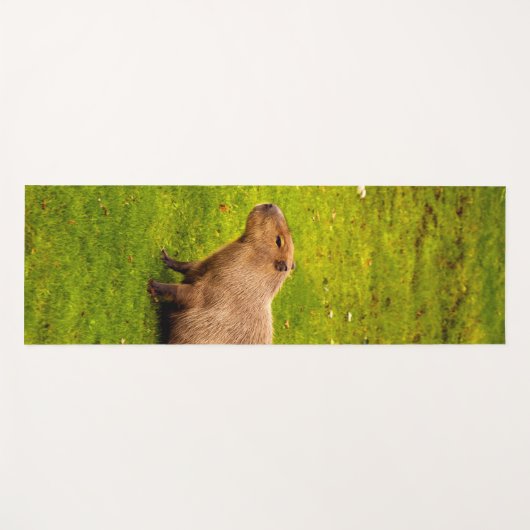 Capybara Yogamat (Voorkant (horizontaal))