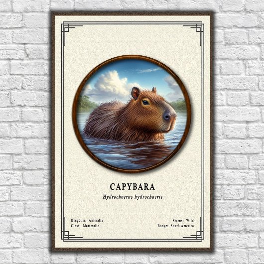 Capybara Zoölogie Serie Poster