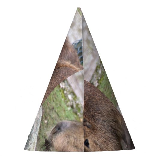 Capybarahs Feesthoedjes (Achterkant)