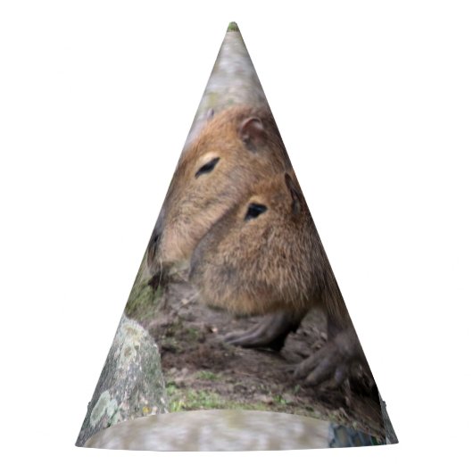 Capybarahs Feesthoedjes (Voorkant)