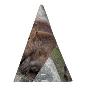 Capybarahs Feesthoedjes (Rechts)