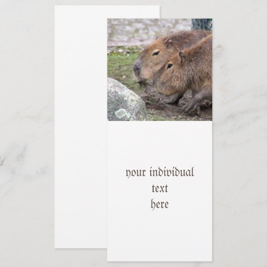 Capybarahs Kaart (Voorkant / Achterkant)