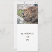 Capybarahs Kaart (Voorkant)