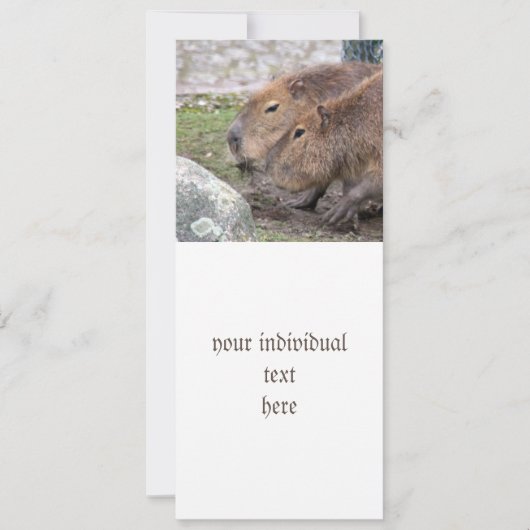 Capybarahs Kaart (Voorkant)