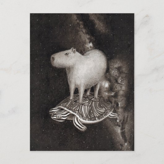 Capybara's en Terrapin die door de ruimtevaart vli Briefkaart (Voorkant)