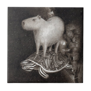 Capybara's en Terrapin die door de ruimtevaart vli Tegeltje