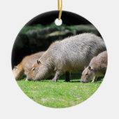 Capybaras grazing keramisch ornament (Voorkant)