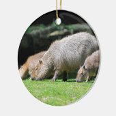 Capybaras grazing keramisch ornament (Links)