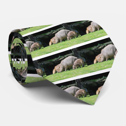 Capybaras grazing stropdas (Opgerold)