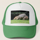 Capybaras grazing trucker pet (Voorkant)