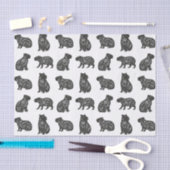 Capybaras Tissuepapier (Craft)