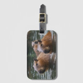 Capybaras' zwemmen in de rivier, bagagelabel (Voorkant (verticaal))