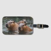 Capybaras' zwemmen in de rivier, bagagelabel (Voorkant (horizontaal))
