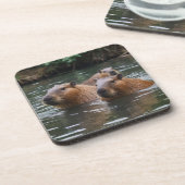 Capybaras Zwemmen In De Rivier, Bier Onderzetter (Linkerzijde)