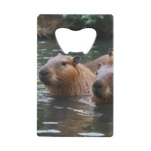 Capybaras Zwemmen In De Rivier, Creditkaart Flessenopener