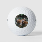 Capybaras Zwemmen In De Rivier,  Golfballen (Voorkant)