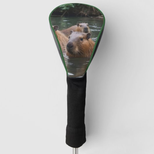 Capybaras' zwemmen in de rivier, golfheadcover (Voorkant)