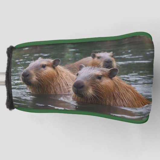 Capybaras' zwemmen in de rivier, golfheadcover (Voorkant)