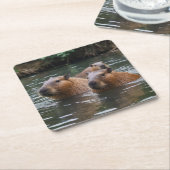 Capybaras' Zwemmen In De Rivier, Kartonnen Onderzetters (Schuin)