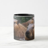 Capybaras Zwemmen In De Rivier, Mok (Midden)