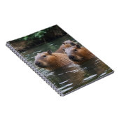 Capybaras' zwemmen in de rivier, notitieboek (Rechterzijde)