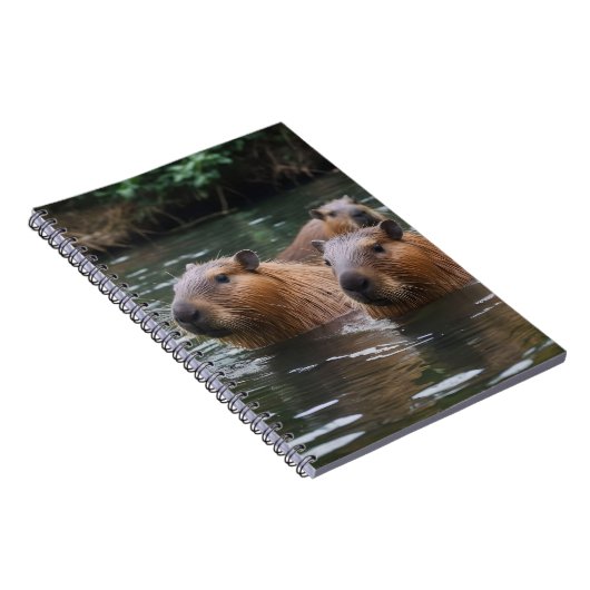 Capybaras' zwemmen in de rivier, notitieboek (Rechterzijde)