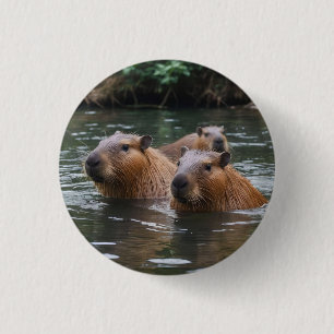 Capybaras zwemmen in de rivier, ronde button 3,2 cm
