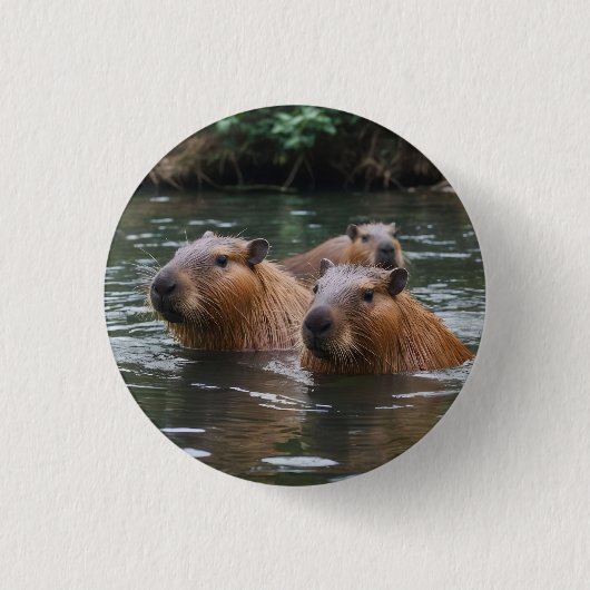Capybaras zwemmen in de rivier, ronde button 3,2 cm (Voorkant)