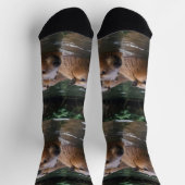 Capybaras' zwemmen in de rivier, sokken (Top)