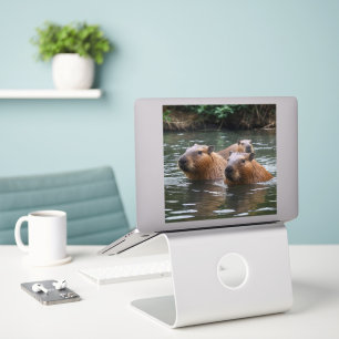 Capybaras' zwemmen in de rivier, sticker