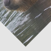 Capybaras' zwemmen in de rivier, tissuepapier (Detail)