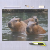 Capybaras' zwemmen in de rivier, tissuepapier (Craft)