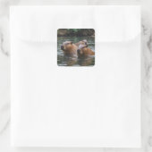 Capybaras Zwemmen In De Rivier, Vierkante Sticker (Tas)