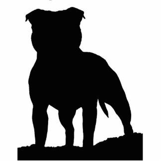 Car magnet fotobeeldje magneet