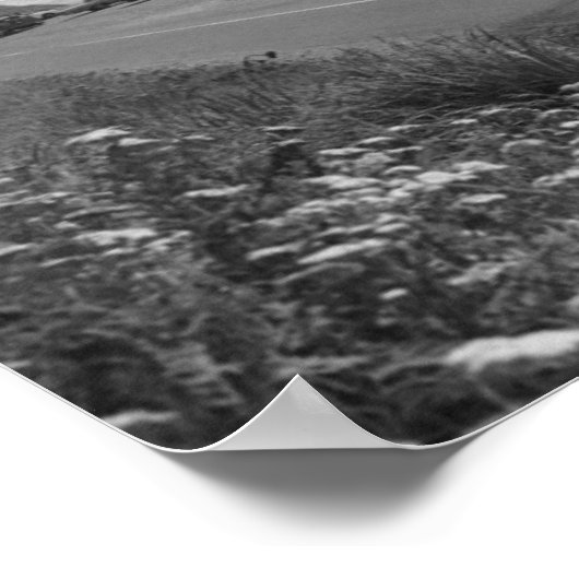 Car Pulling Trailer Poster (Hoek)