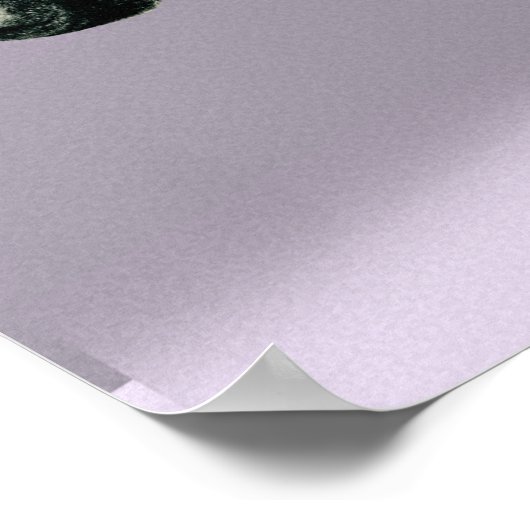 Car Racing Rabbit Poster (Hoek)