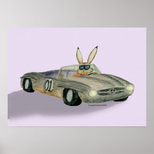 Car Racing Rabbit Poster (Voorkant)