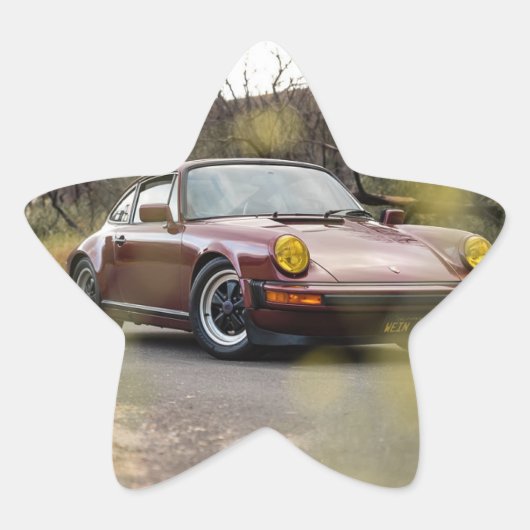 CAR STER STICKER (Voorkant)