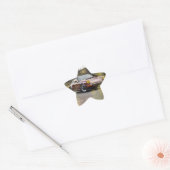 CAR STER STICKER (Envelop)