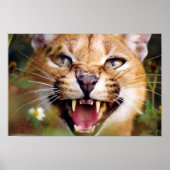 Caracal Hissing Poster (Voorkant)