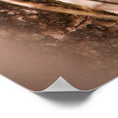 Caracal Kitten Poster (Hoek)