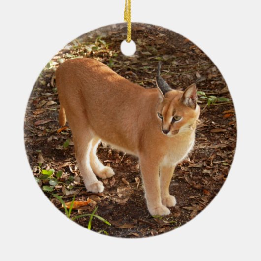 Caracal Lynx-kerstversiering Keramisch Ornament (Achterkant)